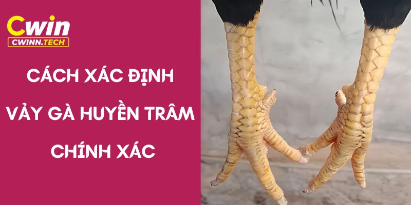 Ba-cach-xac-dinh-vay-ga-huyen-tram-chinh-xac