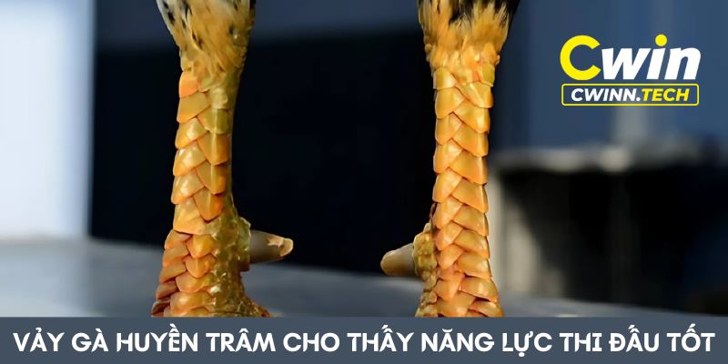 Vay-ga-huyen-tram-cho-thay-nang-luc-thi-dau-cua-chien-ke