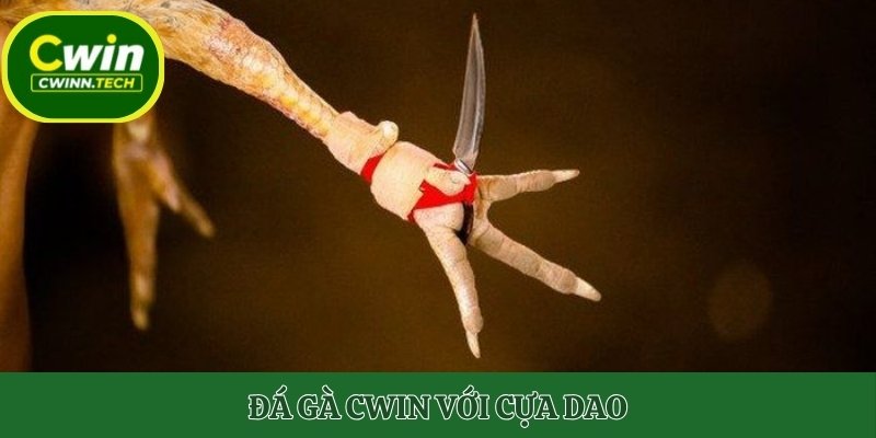 da-ga-cwin-cua-dao