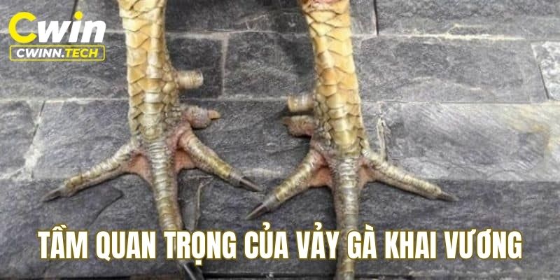 tam-quan-trong-cua-vay-ga-khai-vuong