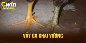 vay-ga-khai-vuong